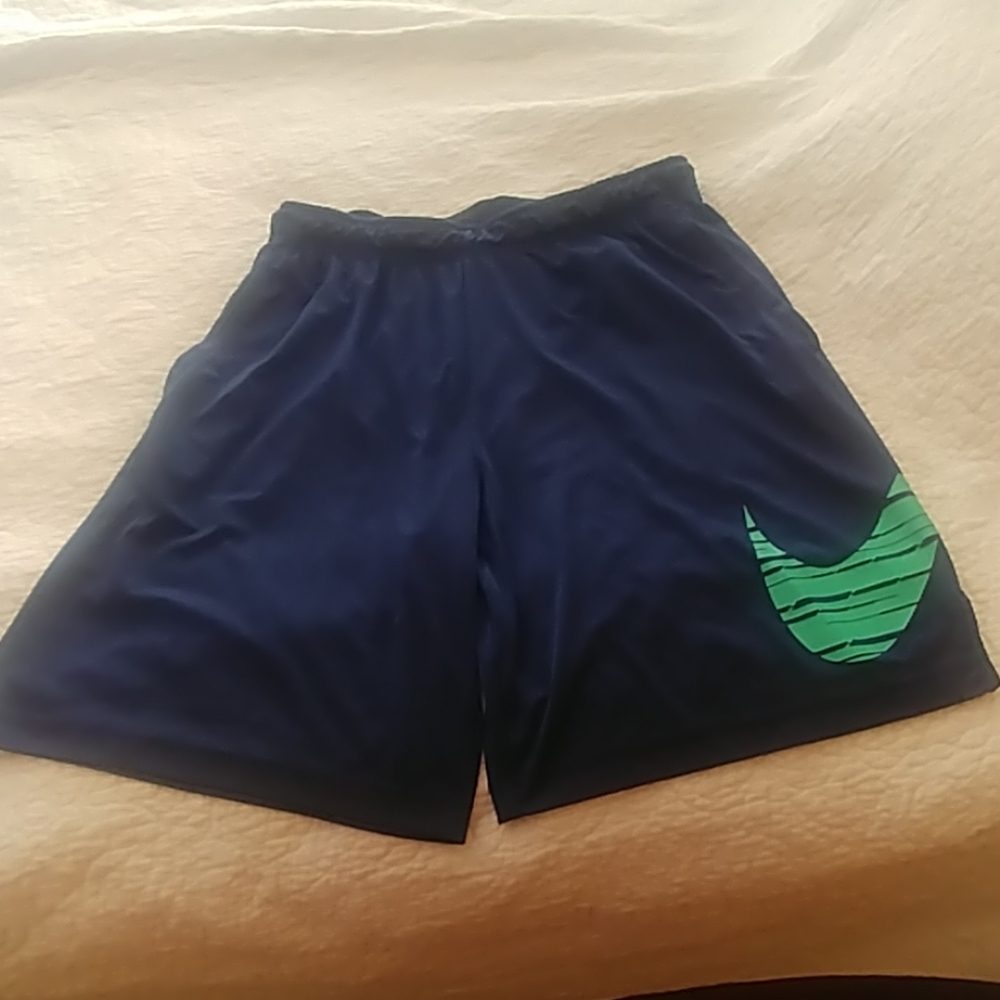 Nike dry-fit mens shorts